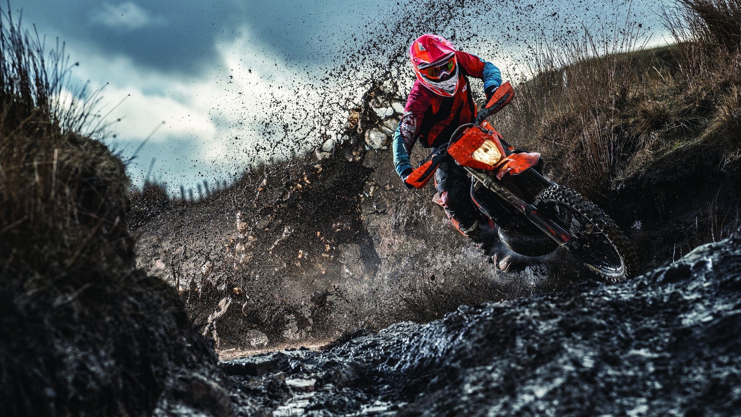 年度焦点之战,奇才压制国王,团队篮球的完美胜利